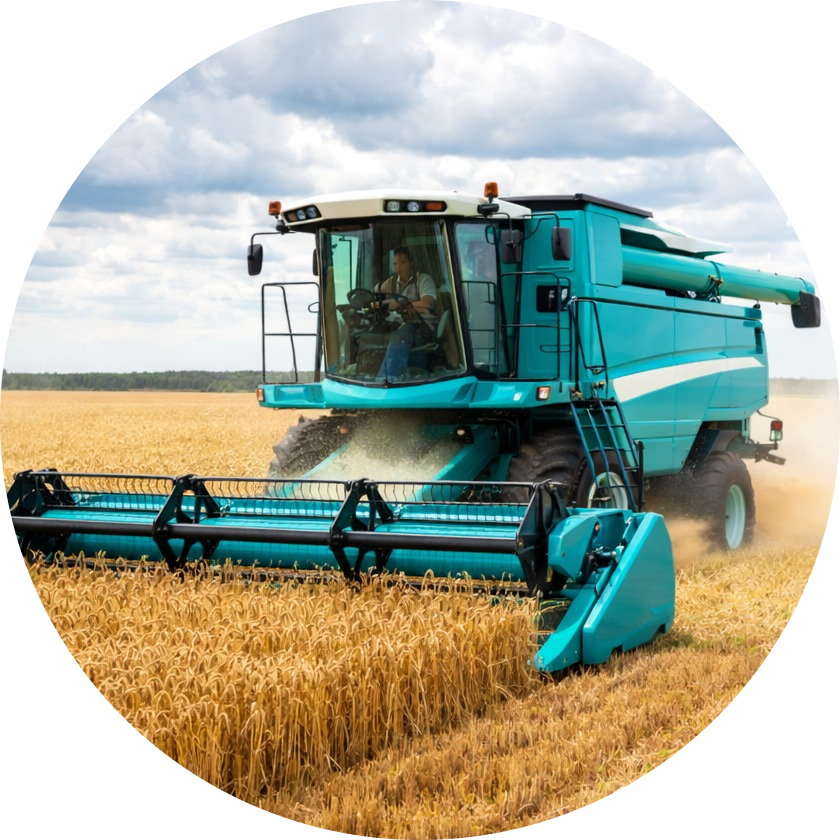 Combine Harvest